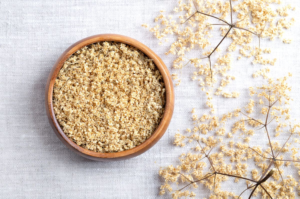 dried elderflowers