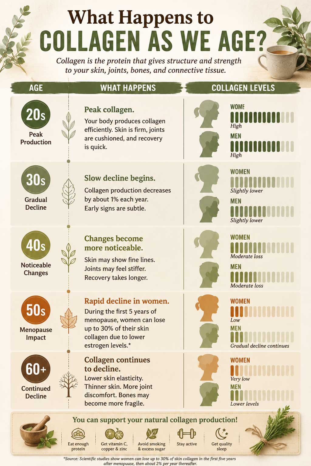 collagen levels as we age