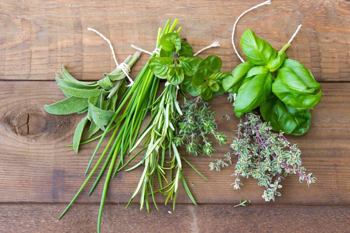 fresh herbs for cooking