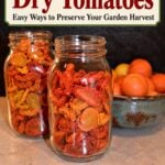 how to dry tomatoes