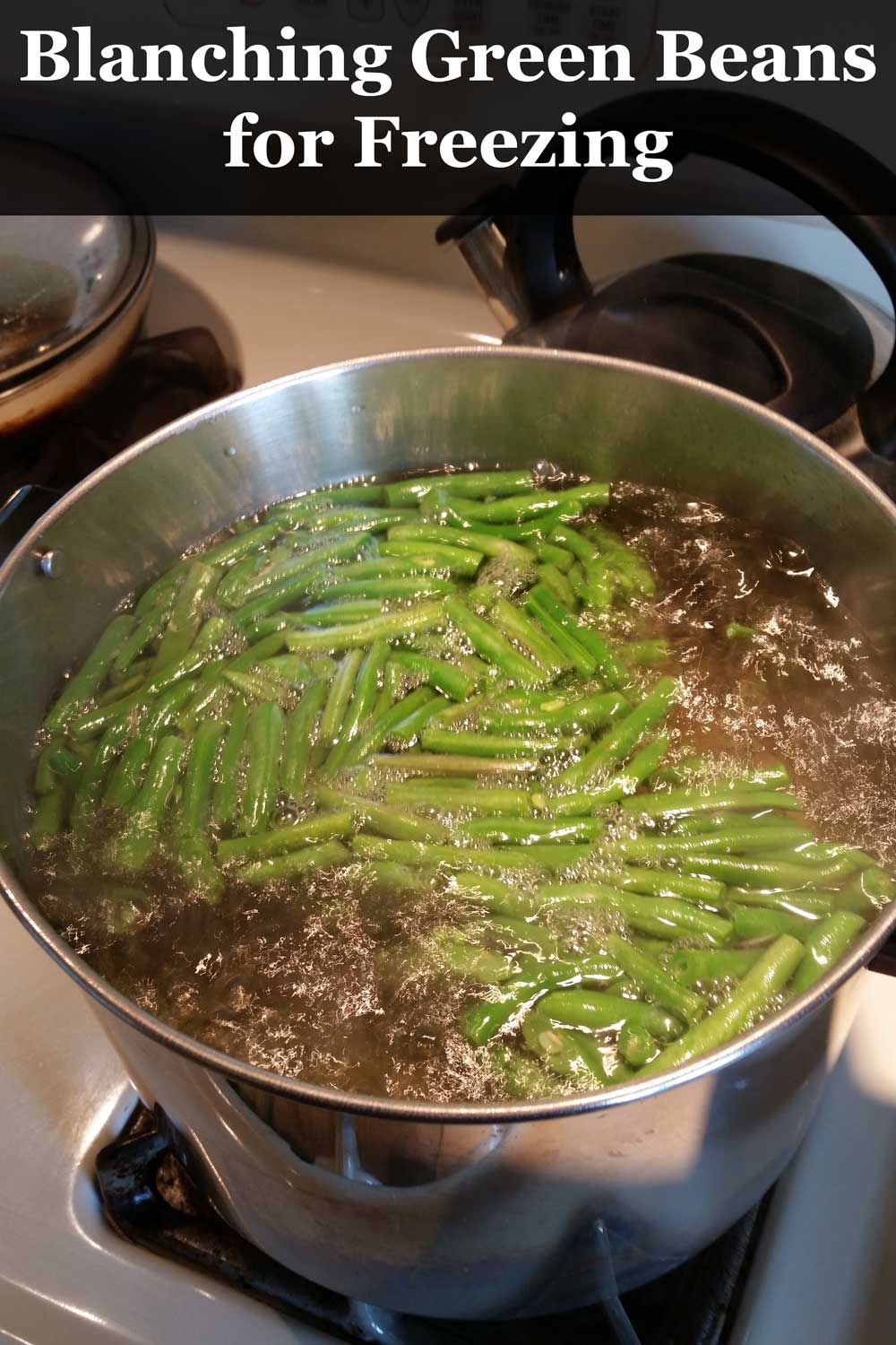 blanching beans for freezing