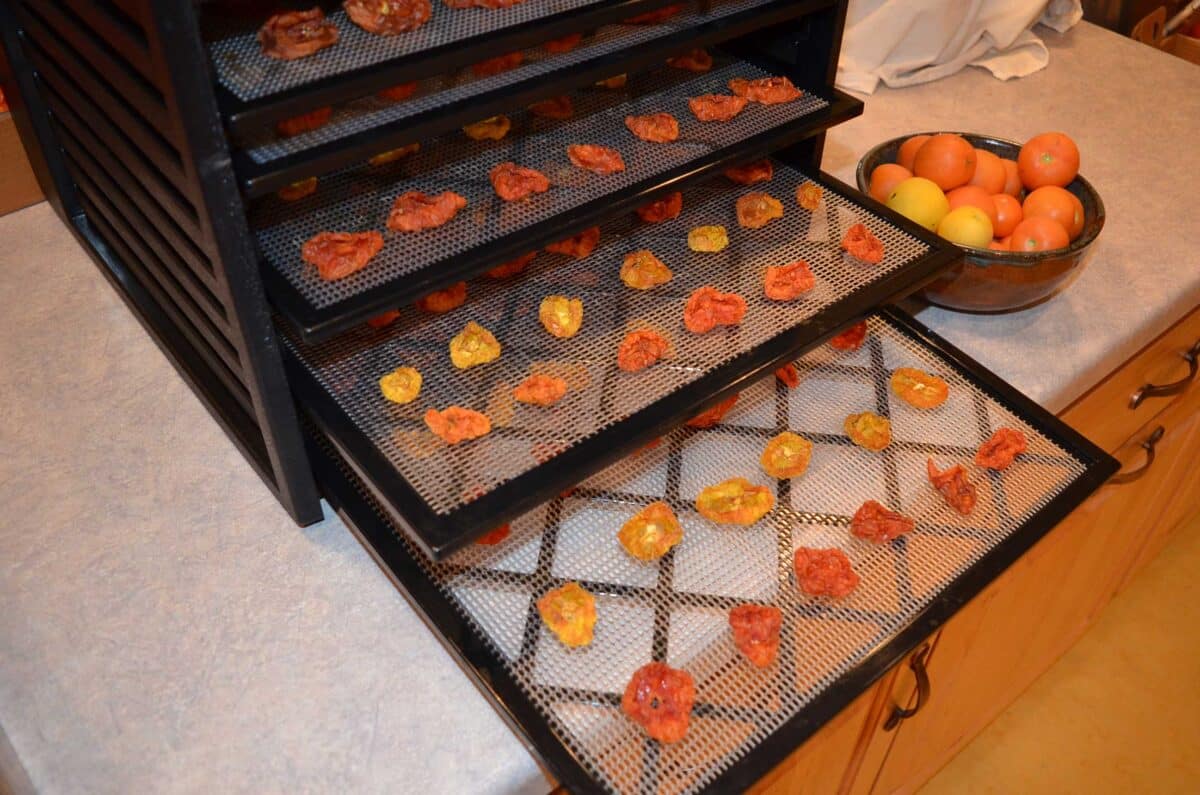 dehydrated tomatoes