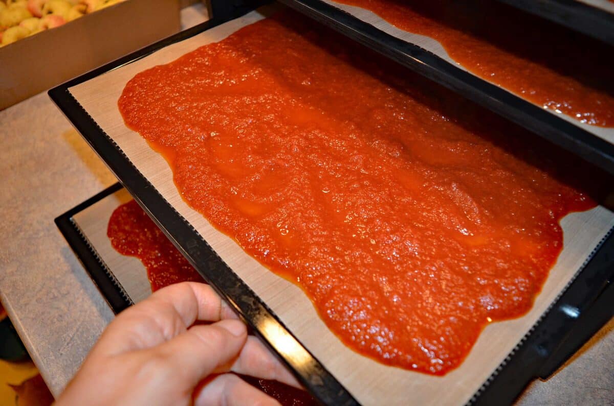 drying tomato sauce
