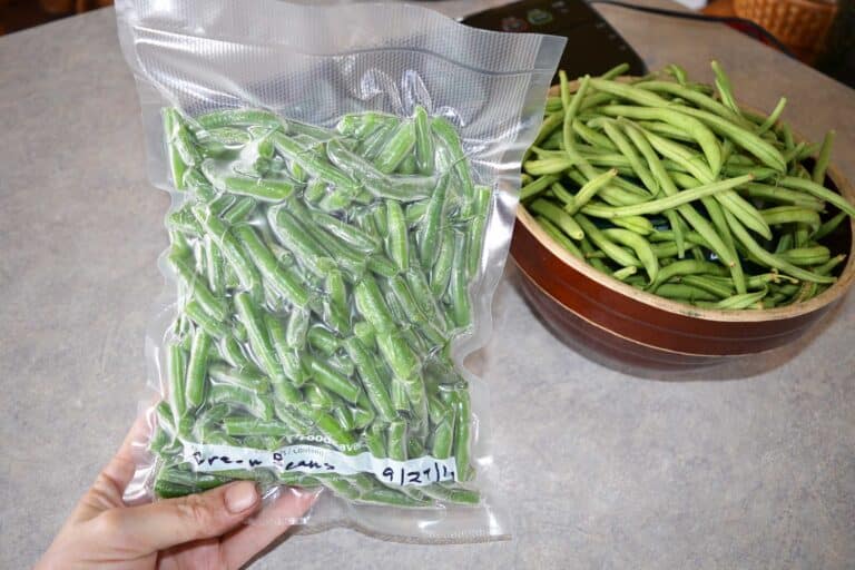 freezing green beans with vacuum sealed packaging