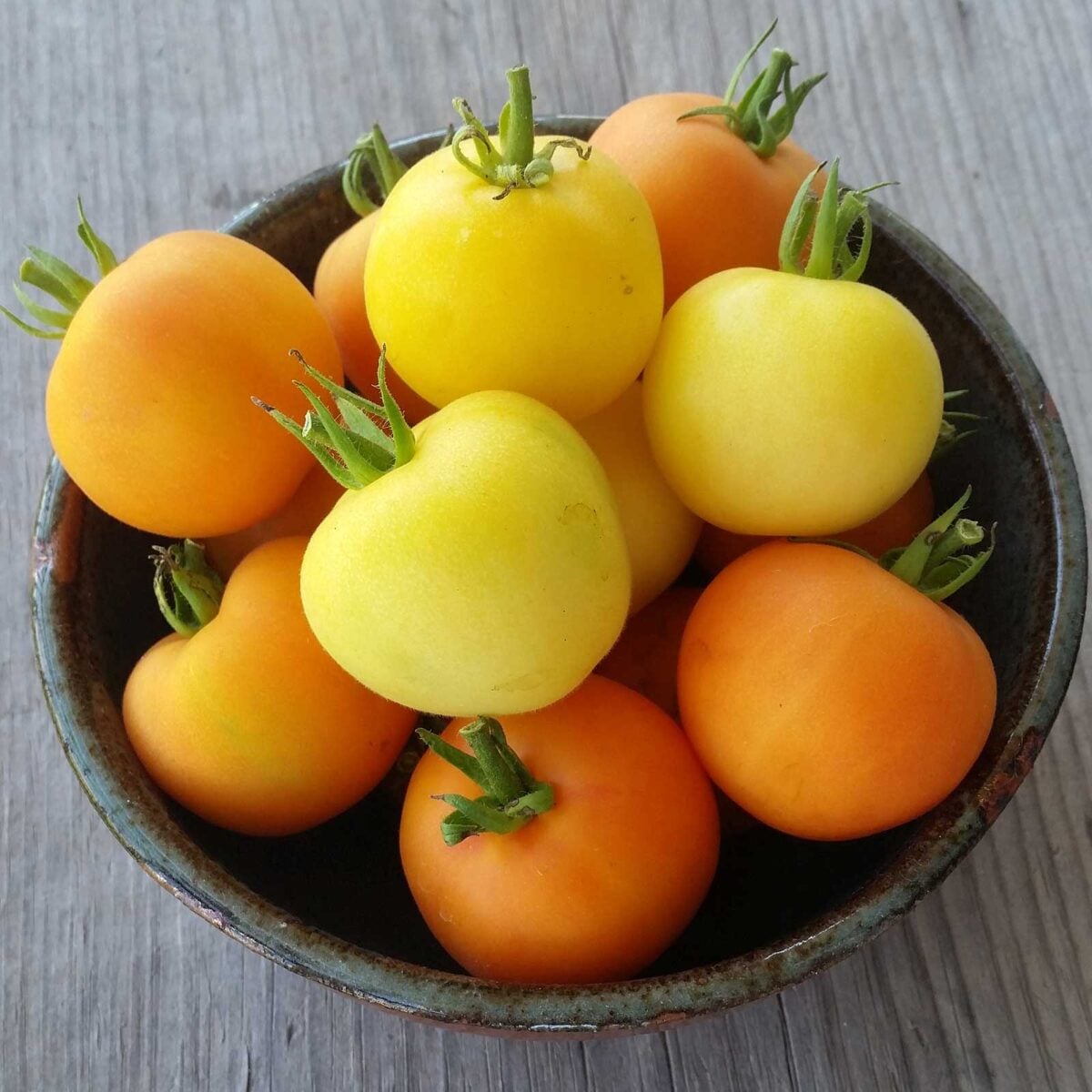 bowl of garden peach tomatoes