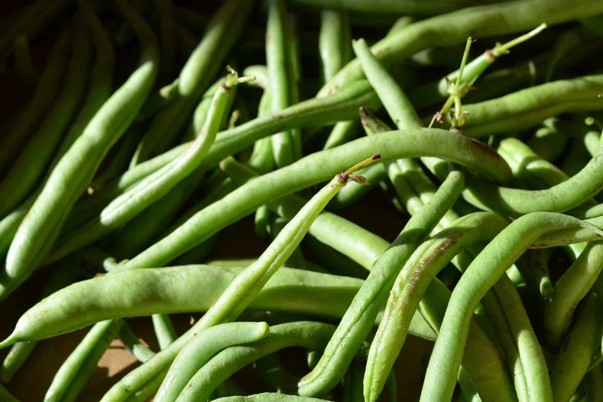 raw green beans