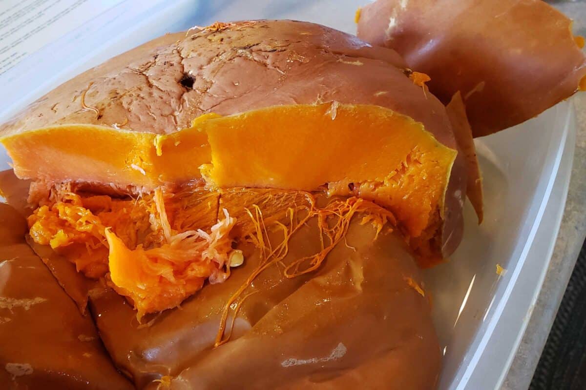 cooked pumpkin